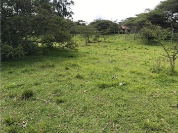 VENDO TERRENO PUEMBO USO MULTIPLE 7.152 M2 PLANOS SECTOR COLEGIOS