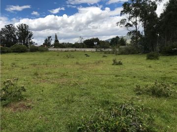 VENDO TERRENO PUEMBO USO MULTIPLE 7.152 M2 PLANOS SECTOR COLEGIOS
