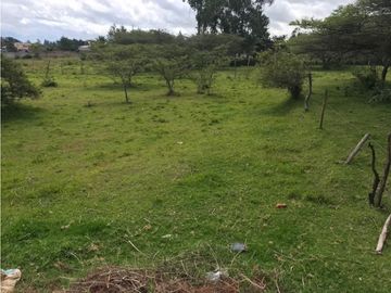 VENDO TERRENO PUEMBO USO MULTIPLE 7.152 M2 PLANOS SECTOR COLEGIOS