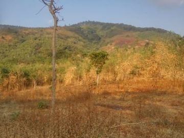 Jual Cepat Tanah Murah 20 Ha Di Cicalengka Kota Bandung