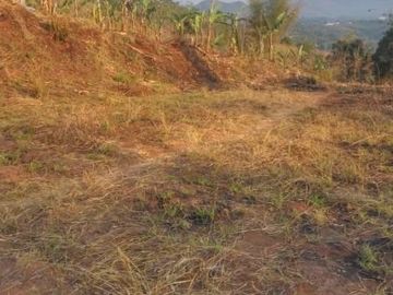 Jual Cepat Tanah Murah 20 Ha Di Cicalengka Kota Bandung