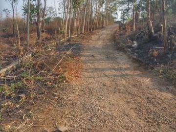 Jual Cepat Tanah Murah 20 Ha Di Cicalengka Kota Bandung