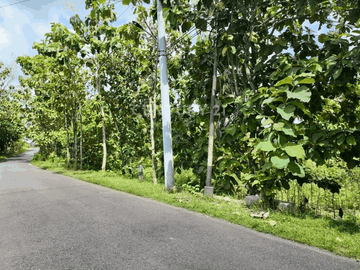Tanah 1000m2 Hanya 500m Dari Kampus UNY Gunung Kidul