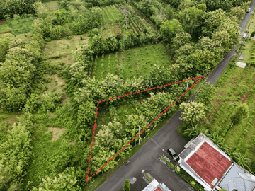 Tanah 1000m2 Hanya 500m Dari Kampus UNY Gunung Kidul
