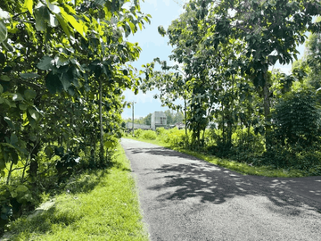 Tanah 1000m2 Hanya 500m Dari Kampus UNY Gunung Kidul