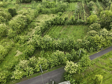 Tanah 1000m2 Hanya 500m Dari Kampus UNY Gunung Kidul