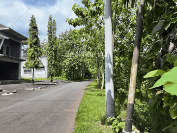 Tanah 1000m2 Hanya 500m Dari Kampus UNY Gunung Kidul