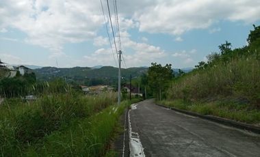 Big 362 SQM Residential Lot for Sale in Lamac, Consolacion Cebu