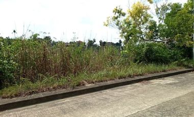 Big 362 SQM Residential Lot for Sale in Lamac, Consolacion Cebu