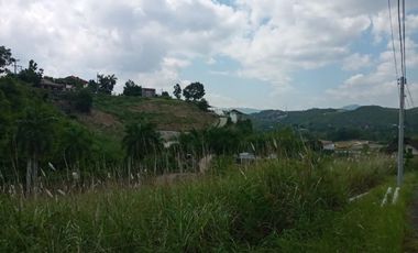 Big 362 SQM Residential Lot for Sale in Lamac, Consolacion Cebu