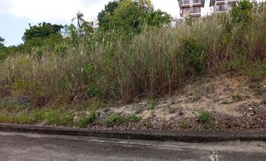 Big 362 SQM Residential Lot for Sale in Lamac, Consolacion Cebu