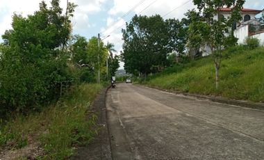 Big 362 SQM Residential Lot for Sale in Lamac, Consolacion Cebu