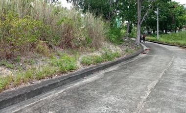 Big 362 SQM Residential Lot for Sale in Lamac, Consolacion Cebu