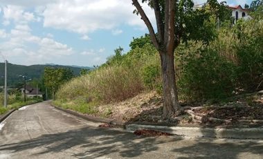 Big 362 SQM Residential Lot for Sale in Lamac, Consolacion Cebu
