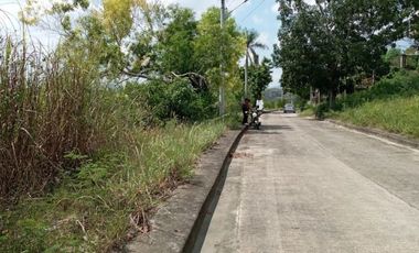 Big 362 SQM Residential Lot for Sale in Lamac, Consolacion Cebu