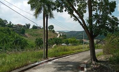Big 362 SQM Residential Lot for Sale in Lamac, Consolacion Cebu