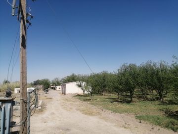 RANCHO CON NOGALES EN VENTA EN CONCORDIA, LA ROSITA, COAHUILA