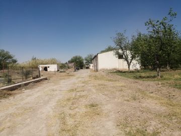 RANCHO CON NOGALES EN VENTA EN CONCORDIA, LA ROSITA, COAHUILA