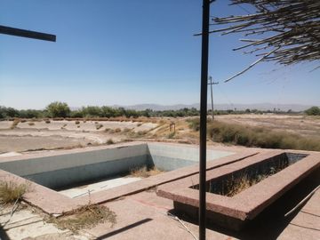 RANCHO CON NOGALES EN VENTA EN CONCORDIA, LA ROSITA, COAHUILA