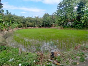 Tanah Kapling SHM,Permata Juwiring Klaten Standar Perumahan