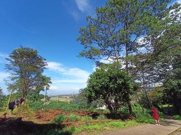 Tanah Areal Alun-Alun Tanjungsari Ada Spesial Promo