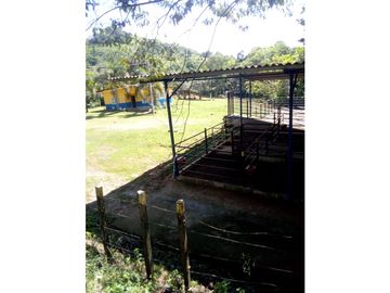 VENDO 96 HECTAREAS IDEAL PARA LA GANADERIA EN PONUGA