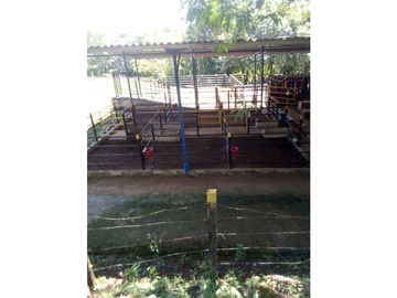 VENDO 96 HECTAREAS IDEAL PARA LA GANADERIA EN PONUGA