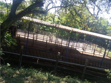 VENDO 96 HECTAREAS IDEAL PARA LA GANADERIA EN PONUGA