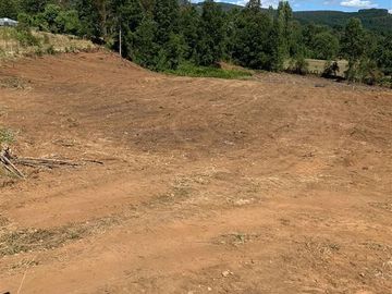 Parcela en Venta en Sector Ciruelos