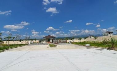 House and Lot in Ayala Land's Alviera, Porac, Pampanga