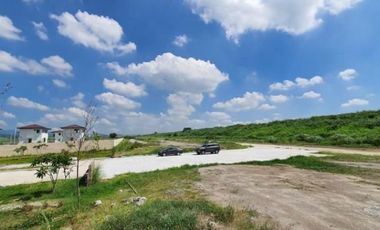 House and Lot in Ayala Land's Alviera, Porac, Pampanga