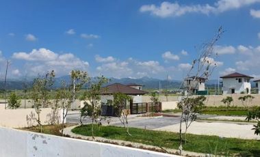 House and Lot in Ayala Land's Alviera, Porac, Pampanga
