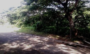 Most Affordable 150 Sqm Lot for Sale in Greenwoods near Talamban Cebu City