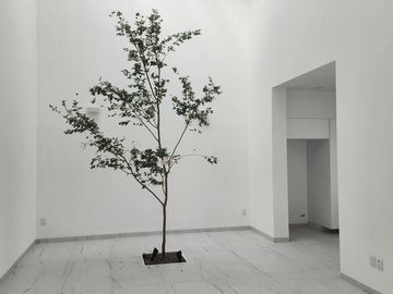 Casa en Venta  Jesús del Monte Fraccionamiento privado