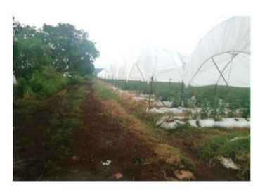 Rancho en Venta