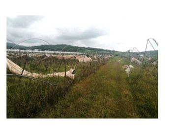 Rancho en Venta