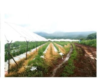 Rancho en Venta