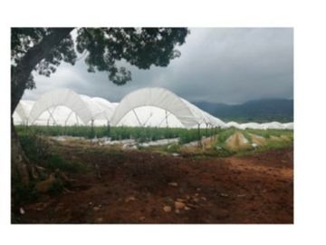 Rancho en Venta