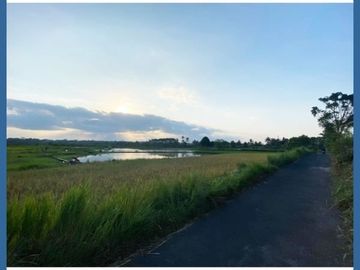 Kavling Blondo Mangku Aspal, 300m ke Jalan Magelang-Jogja