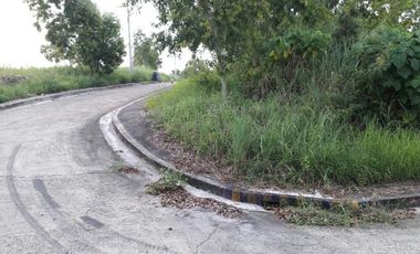 Affordable 150 Sqm Lot for Sale in Talisay, Cebu