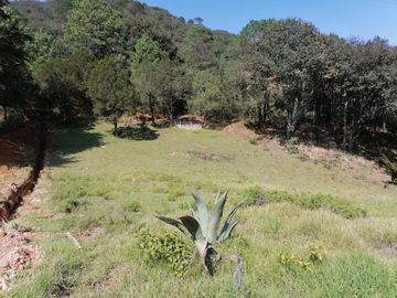 CASA EN VENTA CON 58,186 M2 DE TERRENO, ESPECIAL PARA TI QUE ESTÁS BUSCANDO INVERTIR UBICADO EN SANTA ANA MUNICIPIO DE SAN JOAQUÍN, QUERÉTARO.