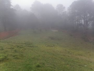 CASA EN VENTA CON 58,186 M2 DE TERRENO, ESPECIAL PARA TI QUE ESTÁS BUSCANDO INVERTIR UBICADO EN SANTA ANA MUNICIPIO DE SAN JOAQUÍN, QUERÉTARO.