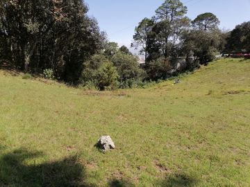 CASA EN VENTA CON 58,186 M2 DE TERRENO, ESPECIAL PARA TI QUE ESTÁS BUSCANDO INVERTIR UBICADO EN SANTA ANA MUNICIPIO DE SAN JOAQUÍN, QUERÉTARO.