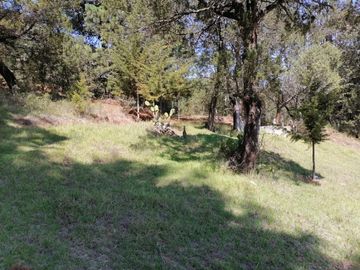 CASA EN VENTA CON 58,186 M2 DE TERRENO, ESPECIAL PARA TI QUE ESTÁS BUSCANDO INVERTIR UBICADO EN SANTA ANA MUNICIPIO DE SAN JOAQUÍN, QUERÉTARO.