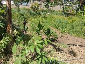 Tanah Dijual di Soreang Bandung