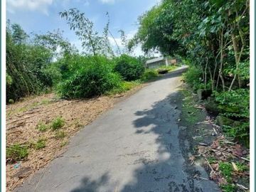 Tanah 1,2Jt/m2 di Timur Prambanan Sisa 1 Kavling
