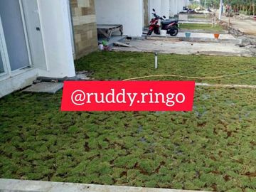 Rumah Harga 500 Jutaan Ready Stock 100 Persen Sidoarjo