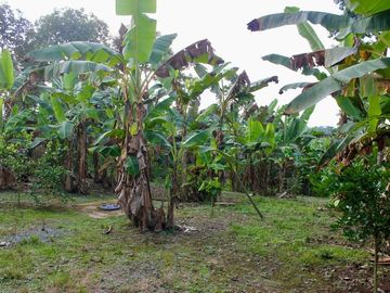 venta de quinta, El Carmen sector San Pedro de Suma