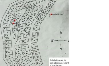 Affordable Ready for Building 100 Sqm Lot for Sale in Consolacion, Cebu