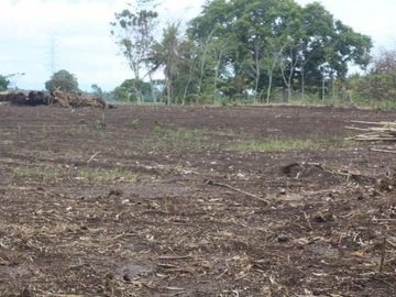 Kavling Jalan Areteri Yogya-Cilacap, Luas 150-an, SHM Pecah